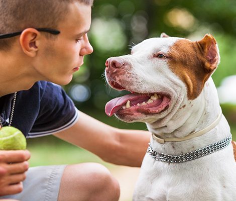 handsome-guy-playing-with-dog-outdoors-7V8NKPZ-1-ot598ayjrm1idxrh8ljdvm6kp37hfz6beyr3lskmxs handsome-guy-playing-with-dog-outdoors-7V8NKPZ-1-ot598ayjrm1idxrh8ljdvm6kp37hfz6beyr3lskmxs
