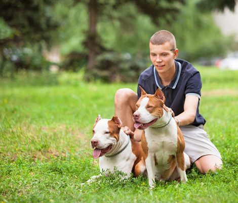 joyful-man-sitting-on-grass-with-dogs-546DYTN-1-ot5g5safplk9w1dlfxrn65rwprjnfwlkps7k4onxgg joyful-man-sitting-on-grass-with-dogs-546DYTN-1-ot5g5safplk9w1dlfxrn65rwprjnfwlkps7k4onxgg